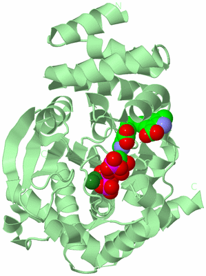 Image Biological Unit 2