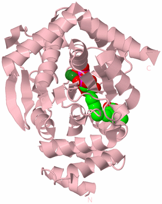 Image Biological Unit 3