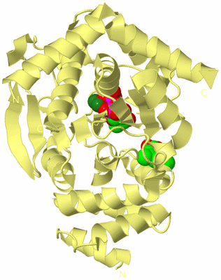 Image Biological Unit 4