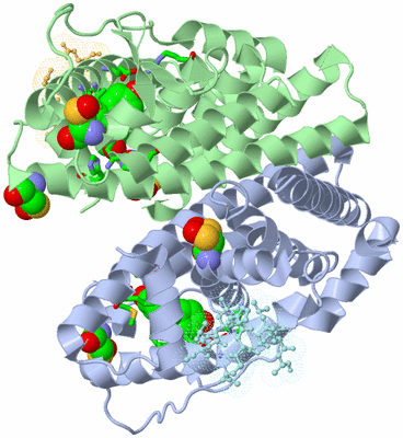 Image Biol. Unit 1 - sites