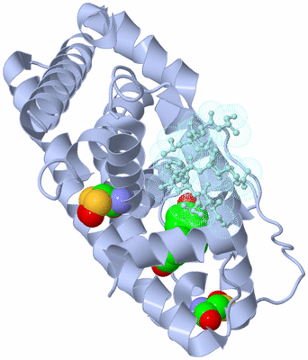 Image Biological Unit 2