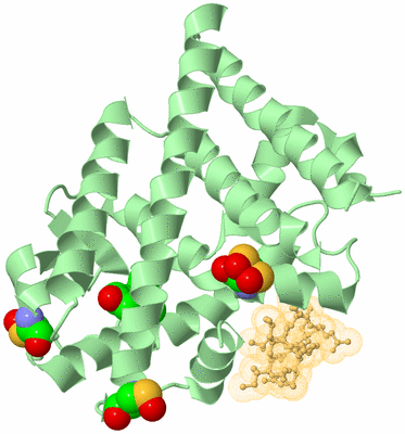 Image Biological Unit 3