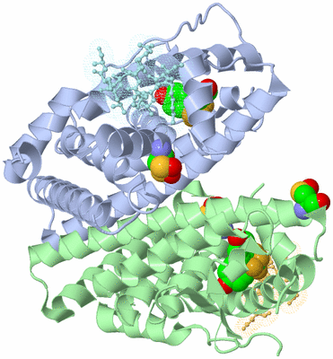 Image Biological Unit 1