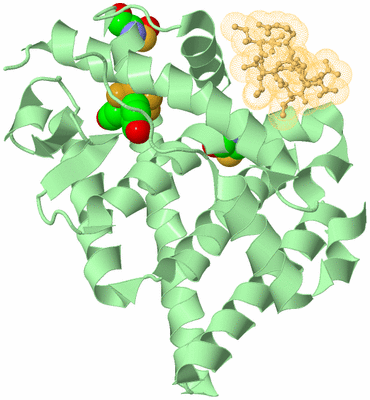 Image Biological Unit 3