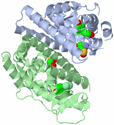 Image Biological Unit 1