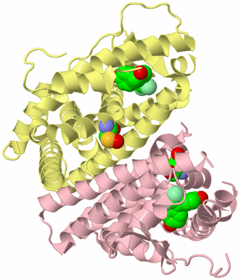 Image Biological Unit 2