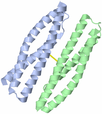 Image Asymmetric Unit