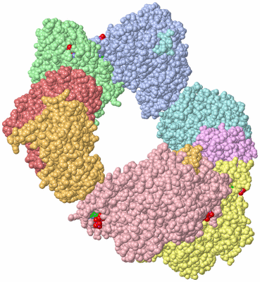 Image Asym./Biol. Unit