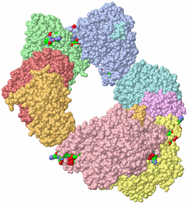 Image Asym./Biol. Unit - sites