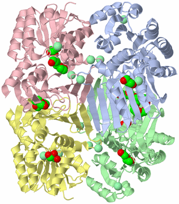 Image Asym./Biol. Unit