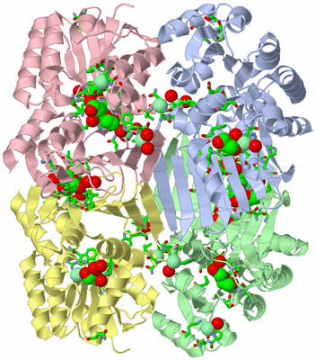 Image Asym./Biol. Unit - sites