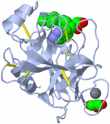 Image Biological Unit 1