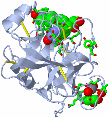 Image Biol. Unit 1 - sites