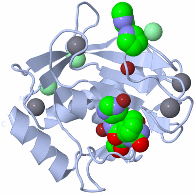 Image Biological Unit 1