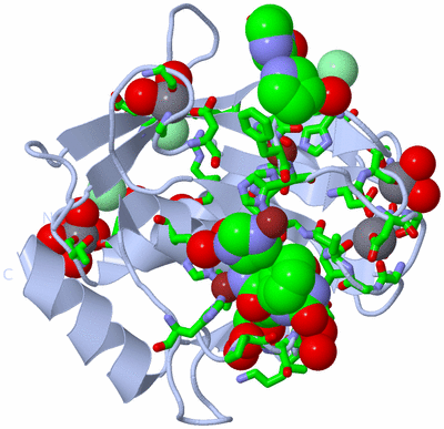 Image Biol. Unit 1 - sites