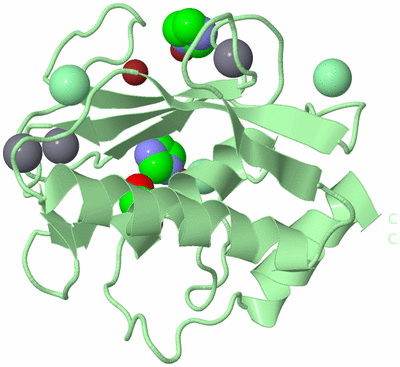 Image Biological Unit 2