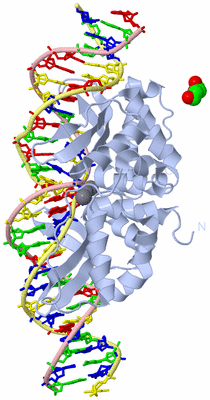 Image Biological Unit 1