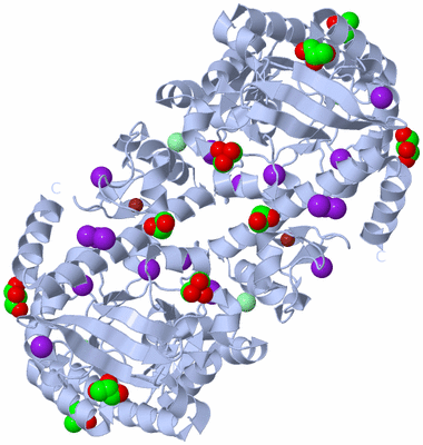 Image Biological Unit 2