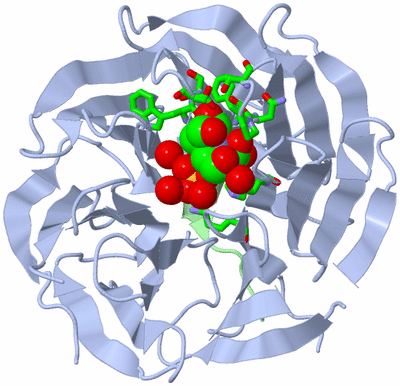 Image Asym./Biol. Unit - sites