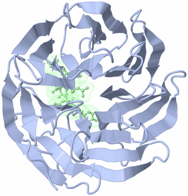 Image Biological Unit 1