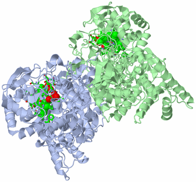 Image Asym./Biol. Unit - sites