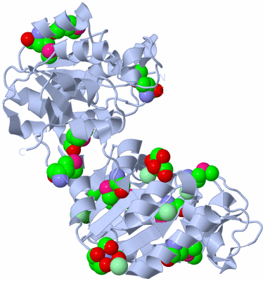 Image Biological Unit 1