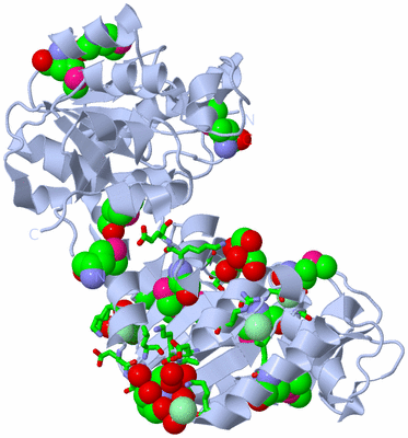 Image Biol. Unit 1 - sites