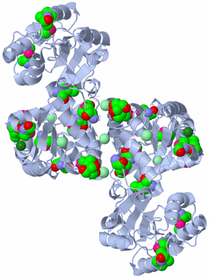 Image Biological Unit 2