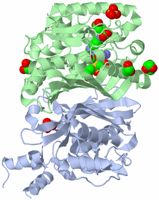 Image Biological Unit 1