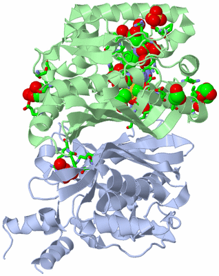 Image Biol. Unit 1 - sites