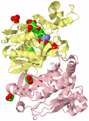 Image Biological Unit 2