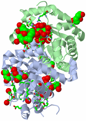 Image Asym./Biol. Unit - sites