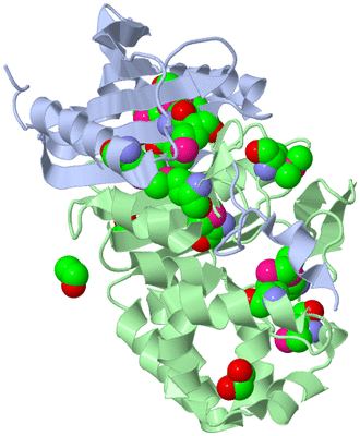 Image Biological Unit 1