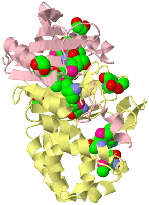 Image Biological Unit 2