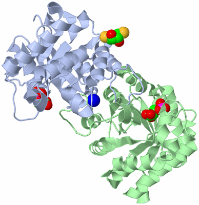 Image Asym./Biol. Unit