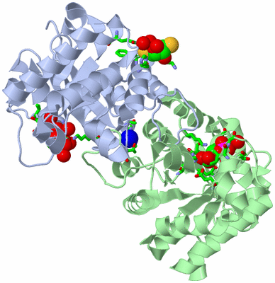 Image Asym./Biol. Unit - sites