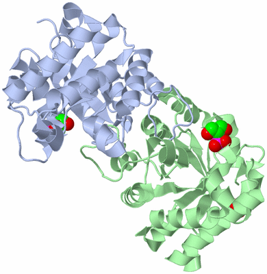 Image Asym./Biol. Unit