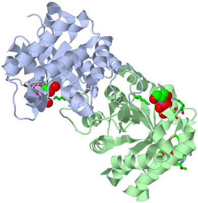 Image Asym./Biol. Unit - sites