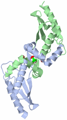 Image Asym./Biol. Unit