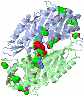 Image Biological Unit 1