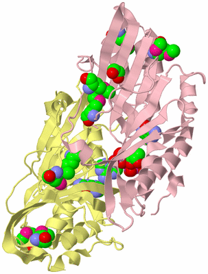 Image Biological Unit 2