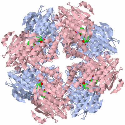 Image Biological Unit 1