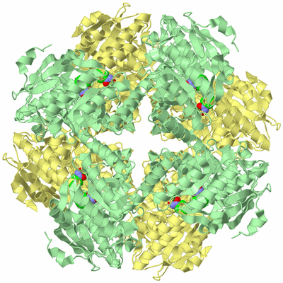 Image Biological Unit 2