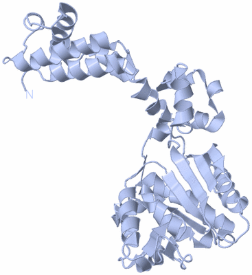 Image Biological Unit 1