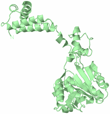 Image Biological Unit 2