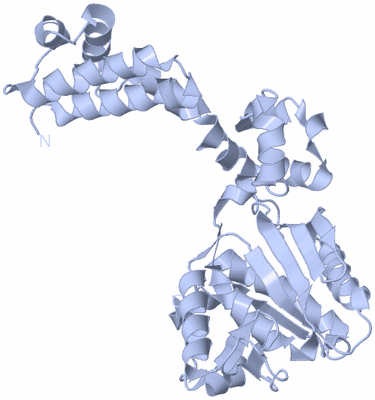 Image Biological Unit 1