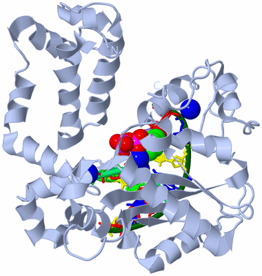 Image Biological Unit 1