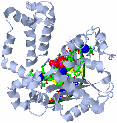 Image Biol. Unit 1 - sites