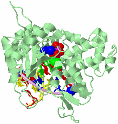 Image Biological Unit 2