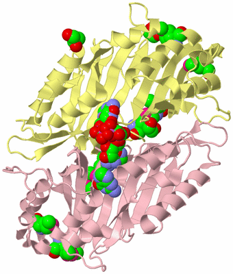 Image Biological Unit 2